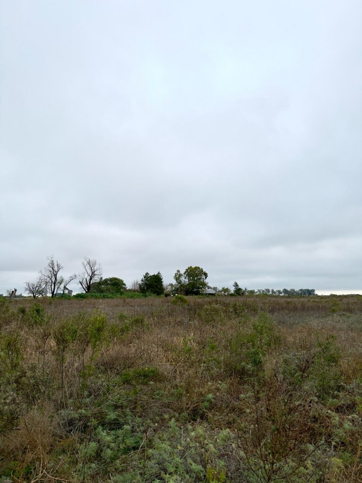 Campo en venta