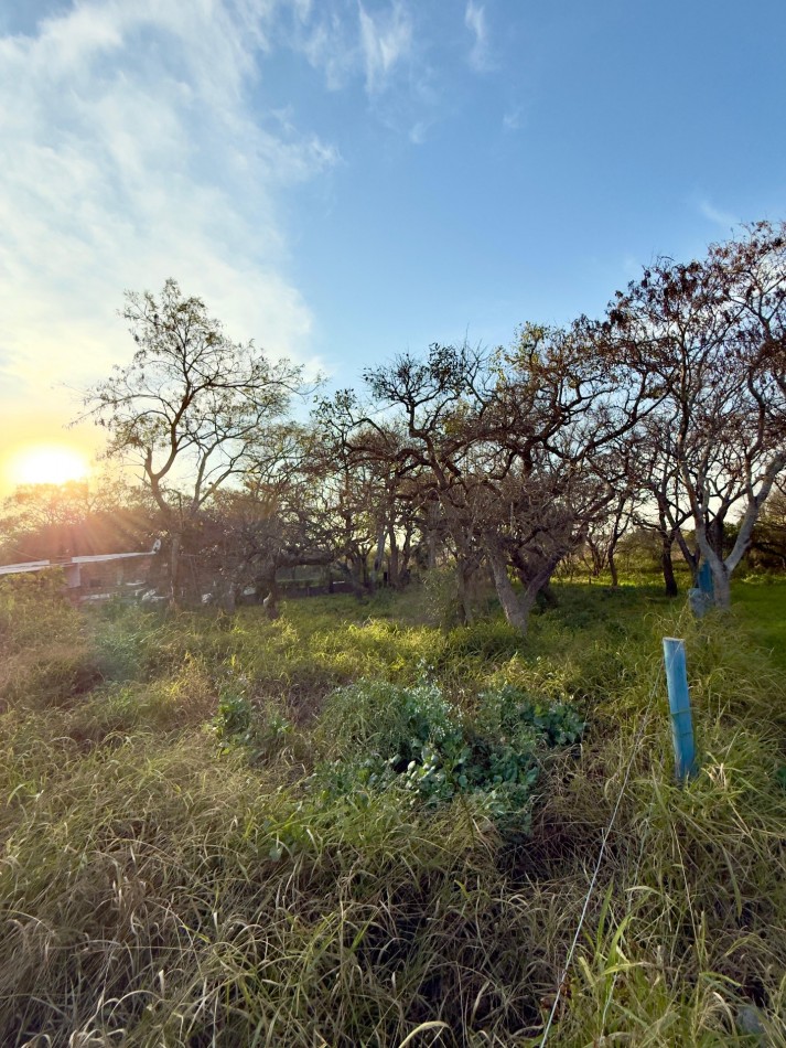 Terreno en venta en Ruta 1