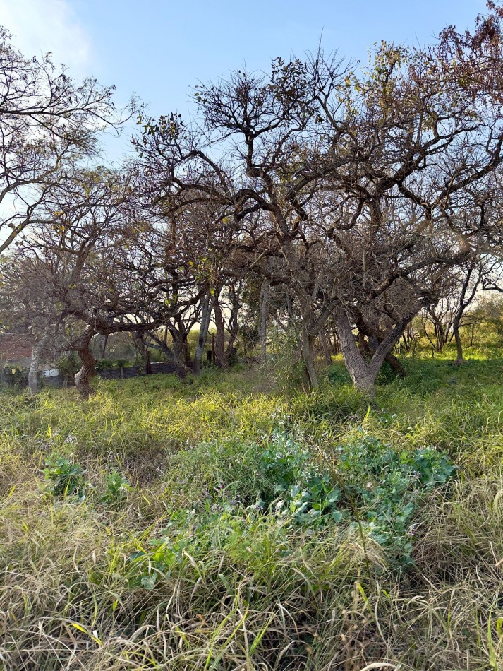 Terreno en venta en Ruta 1
