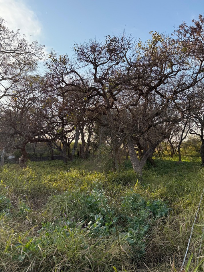 Terreno en venta en Ruta 1