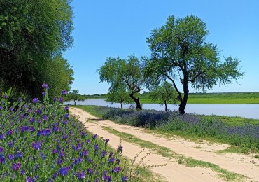 Campo con vista al rio en venta en Helvecia 