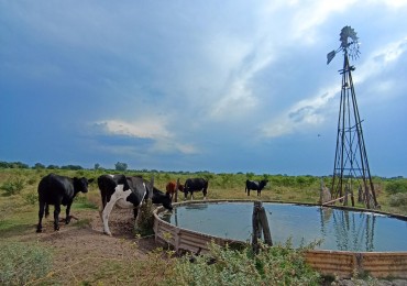 Campo de 40 Has ganaderas