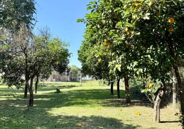 Terreno en venta en Santa Rosa de Calchines 