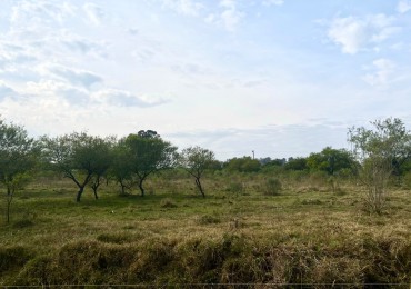 Terreno en venta en Helvecia