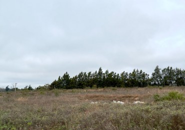 Campo en venta
